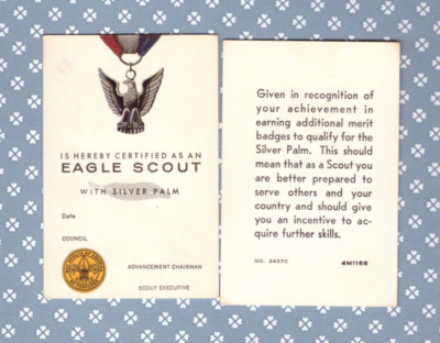 Eagle Scout with Silver Palm Card - No. 3427C - printed 1968 -Mint- C5