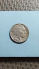 1914 S Buffalo Nickel 5C VF                                                 Y181