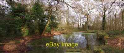 Foto 6x4 Teich im irischen Waldfüße Cray A Pond Panorama c2019