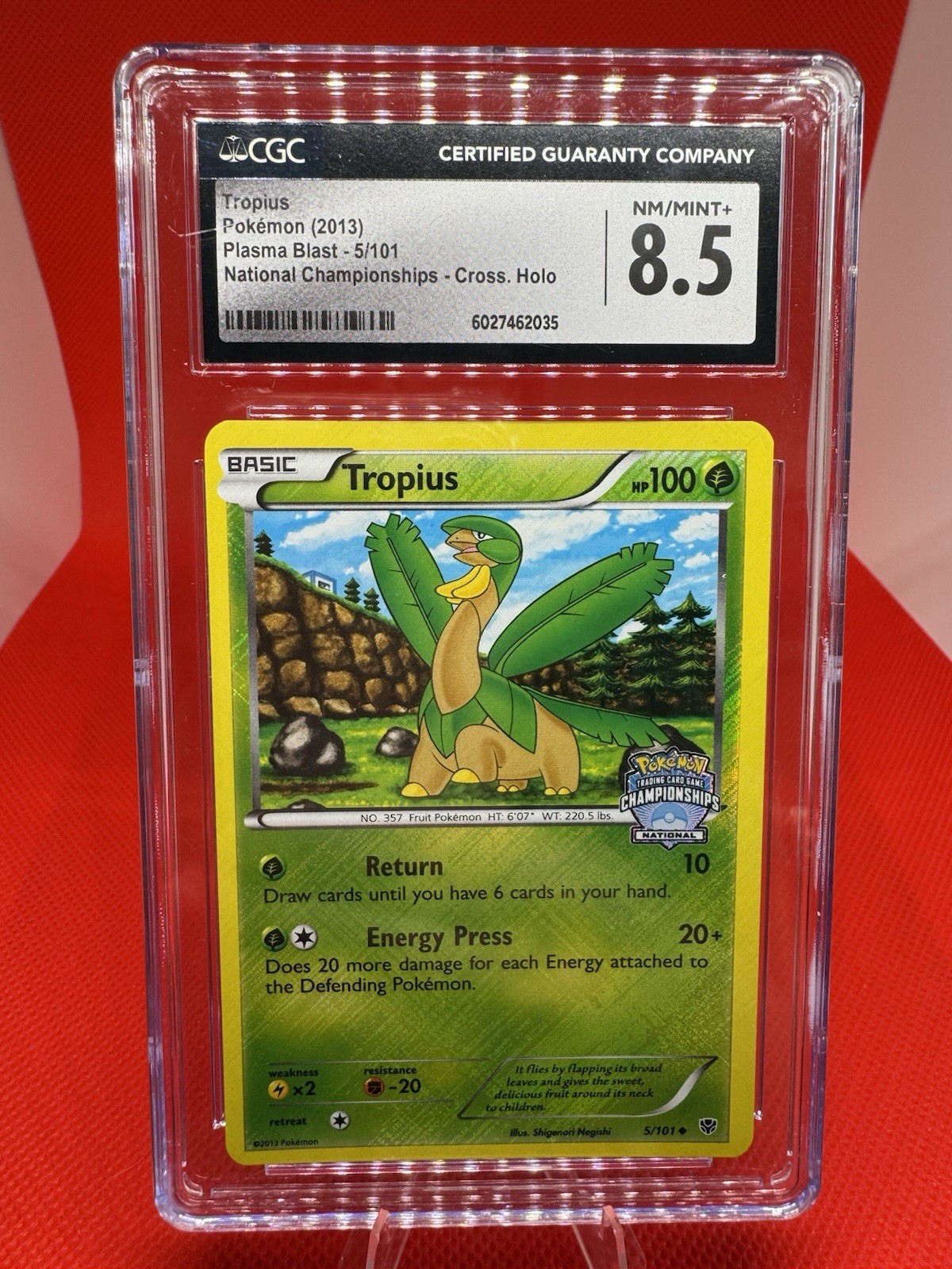 Tropius 5/101 National Championship Promo Crosshatch Holo Pokemon Plasma CGC 8.5