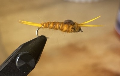 1 Dozen (12) Golden Stone Flies Nymph #12