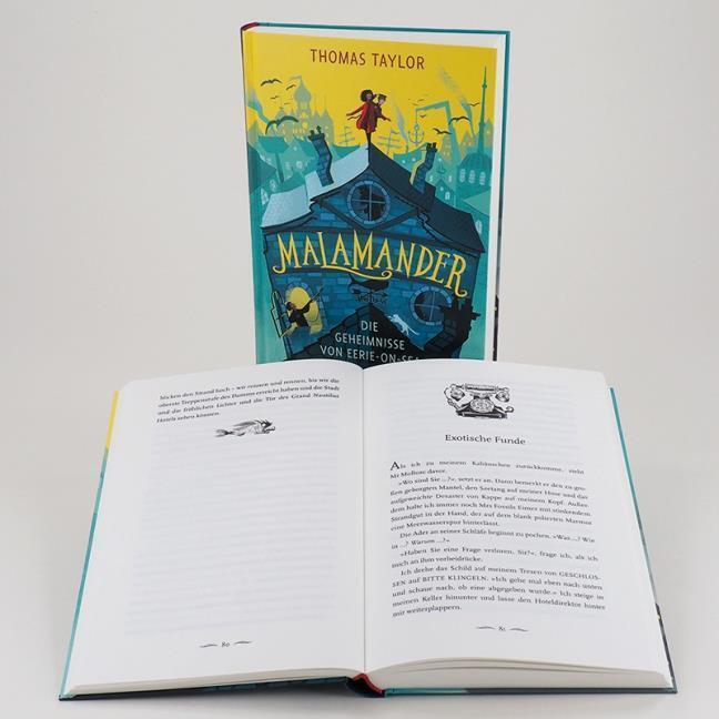 Thumbnail - Malamander - Die Geheimnisse Von Eerie-on-sea Thomas Taylor