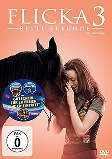 Flicka 3 - Beste Freunde von Michael Damian, Michael Damien | DVD | Zustand gut