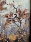 Foto 10 di 10