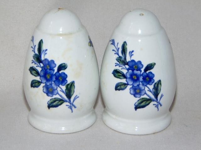 Vintage SPODE BLUE FLOWERS Floral Porcelain Salt & Pepper Set, England