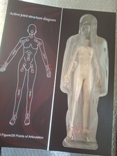 JIAOU DOLL 1/6 : Super Flexible Female Seamle...