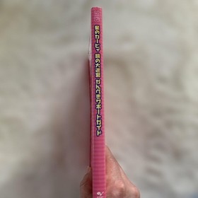 Kirby's Mirror Labyrinth Guide Famicom Communications / Complete Support Book