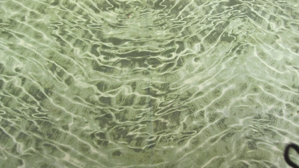 Tela de algodón verde Monterey Bay American Wilderness para SSI 28x42 Foto 4 de 4