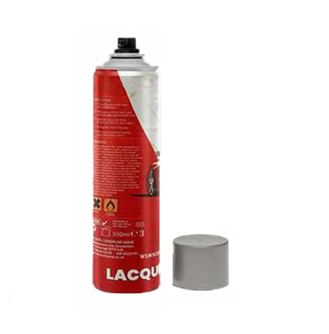 Peinture aérosol FORD Moondust Silver Met 1991-2012 (Code D) main image 1