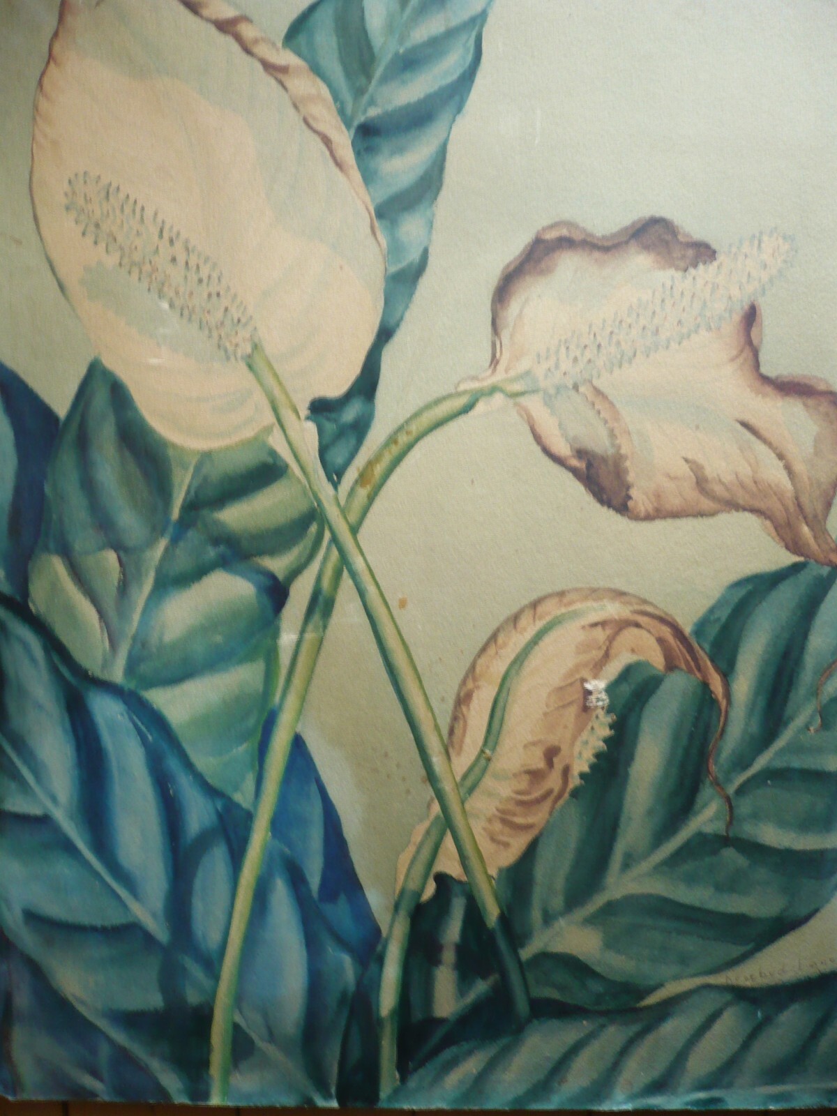 Picture 3 of 10