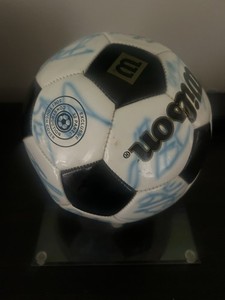 World Cup USA 2002 Signed Soccer Ball - FIFA World Cup, Original