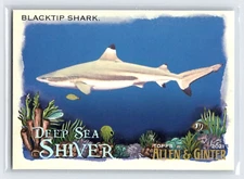 BLACKTIP SHARK 2021 Topps Allen & Ginter Deep Sea Shiver Insert Card #DSS-8