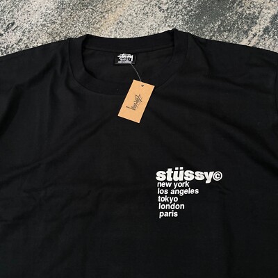 Tシャツ・カットソー STUSSY SS25 BERRIES TEE (1905108 0001 BLACK) STUSSY ステューシー Tシャツ 半袖 メンズ Berries ( stussy tee