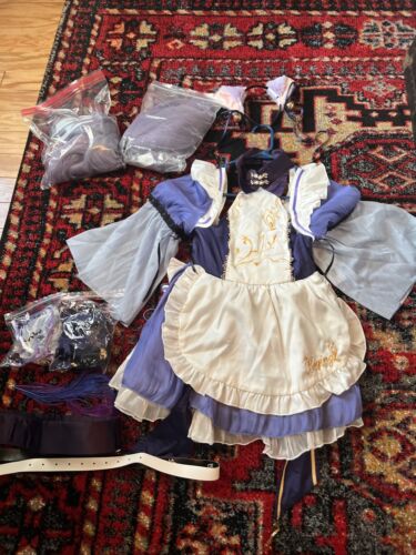 Custom Rein Shroud Cosplay Costume from Beast Tamer Yuusha Party wo Tsuihou  sareta Beast Tamer - CosplayFU.com