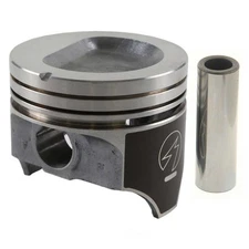 Engine Piston Set Sealed Power H519CP 30