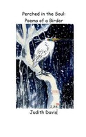 Perched In The Soul | Poems Of A Birder | Judith Davis | Taschenbuch | Englisch
