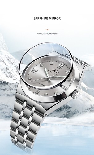 CARNIVAL Men Automatic Watch 42mm Mechanical Wristwatch Luminous Sapphire 5ATM - Picture 6 of 9