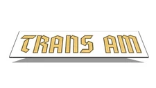 1976 1977 1978 Black Trans Am Special Edition German Gold Name Bird Stripe Decal