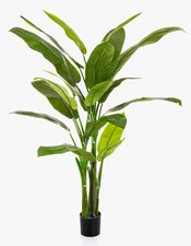 artplants Heliconia künstlich VESA, 170 cm