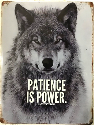 #ad FREE SHIPPING BUY or make OFFER B4 it’s SOLD 😱 Wolf power 12x16 TIN SIGN A1 $29.99