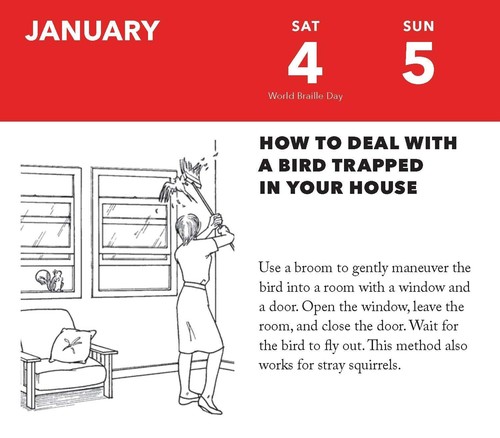 Worst-Case Scenario 2025 Daily Survival Calendar Desk Box Calendar - Picture 5 of 5