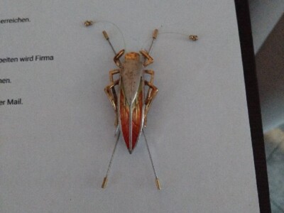 Rare Vintage Pierre Lang 1990s Grasshopper Gold tone rhodium plated  - 3 1/4''