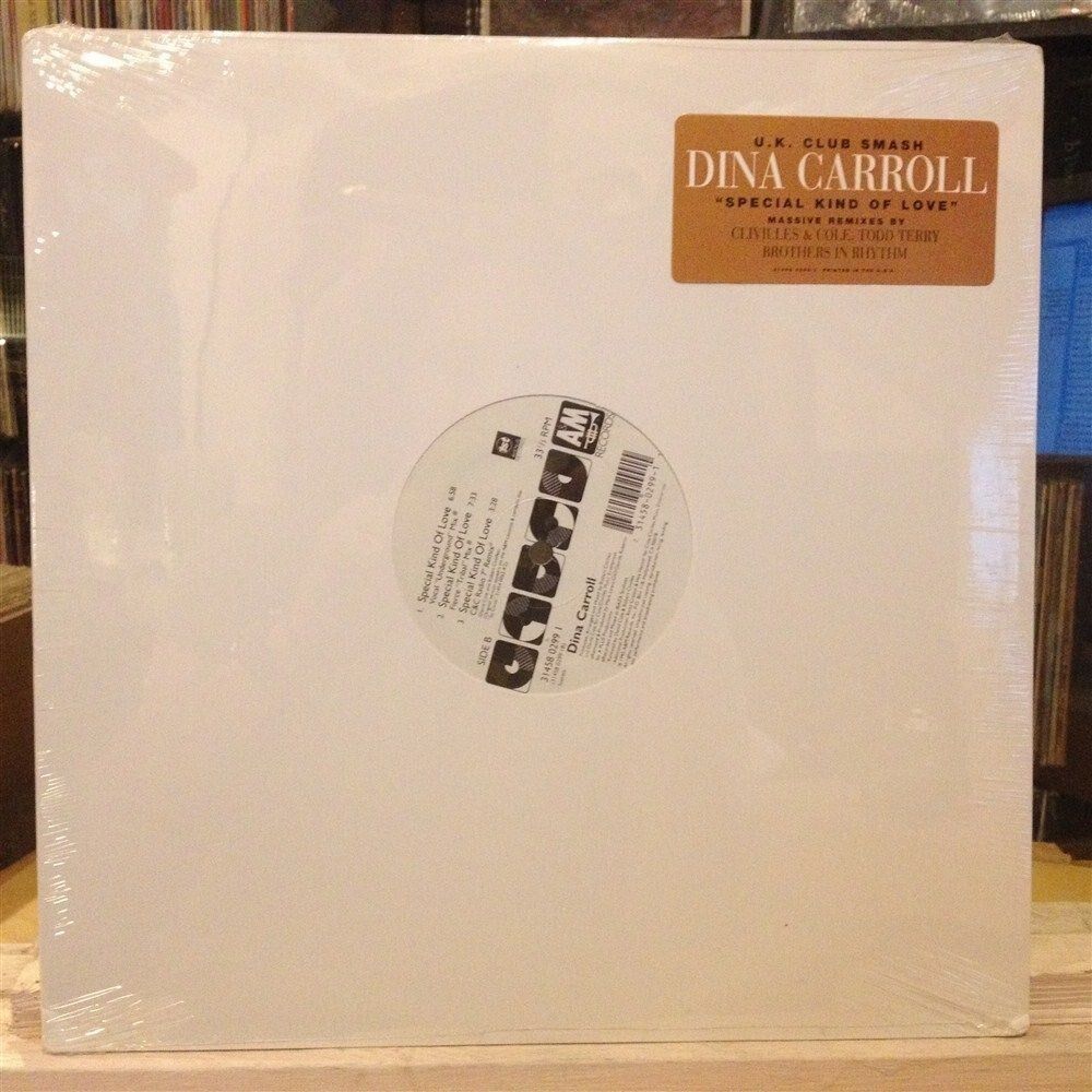 [EDM]~SEALED 12"~DINA CARROLL~TODD TERRY~BROTHERS IN RHYTHM~Special Kind of Love
