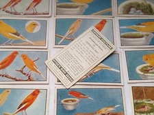 Vintage Antique Cards 1930 Hydes Bird seeds  Canary culture 12 