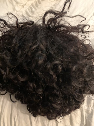 Curly Human Hair Wig With 4” Lace Front Beautiful - Picture 3 of 8