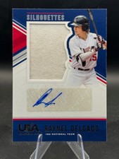 Raynel Delgado - 2018 Panini USA Baseball #43 - Silhouettes Relic Auto 128/199