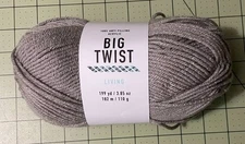 Joann Big Twist Living Yarn Color LIGHT GRAY  100% Acrylic 1 skein