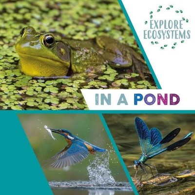 Sarah Ridley Explore Ecosystems: In a Pond (Gebundene Ausgabe)