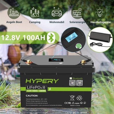 Lithium Batterie 100AH 12V LiFePO4 Akku /Ladegerät BMS Zyklus Solar RV Wohnmobil