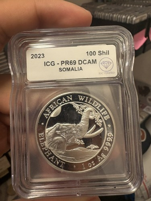 #ad 2023 Somalia 100 Shillings African Wildlife 1 Troy Oz Silver ICG PF69 DCAM $140.00