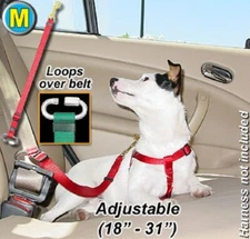 Seat Belt Tether for your pet/dog in the car - Medium - PTST34 - Step 1 Blue
