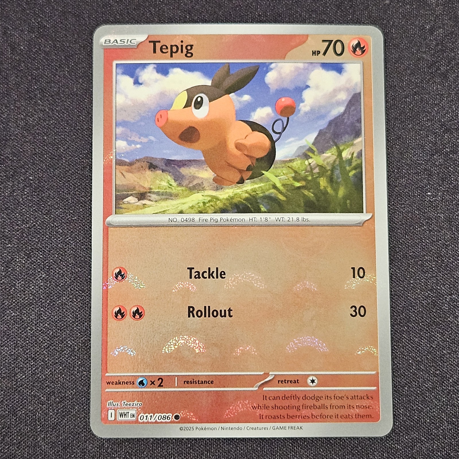 shiny tepig pokemon card Tepig 13/25 main image 0