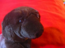 Animal Alley 12" Chocolate Lab Labrador Retriever Puppy Dog Plush Toys R Us