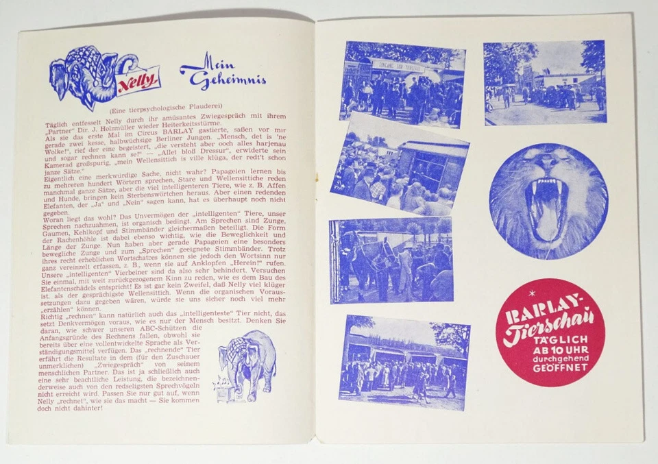 Barlay Zirkus Sommertournee 1954 Programm Hans Albers  - Bild 4 von 4