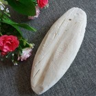 Bild 12 von 25