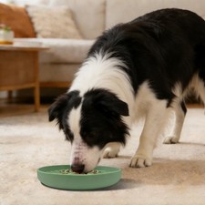 Slow Feeder Dog Bowls, Slow Eating Dog Bowl, ...