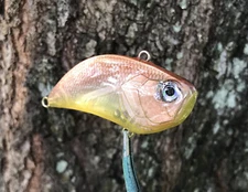 SPEEDBAITS Custom Airbrushed RAID Japan Level Vib Lipless Crankbait CLONE 