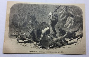 1877 magazine engraving ~ ADVENTURE OF A LUMBERMAN WITH WOLVES