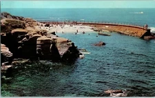La Jolla Childrens Pool & Breakwater Forming Pool California Postcard 