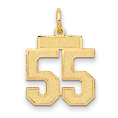 14k Yellow Gold Small Satin Number 55 Charm