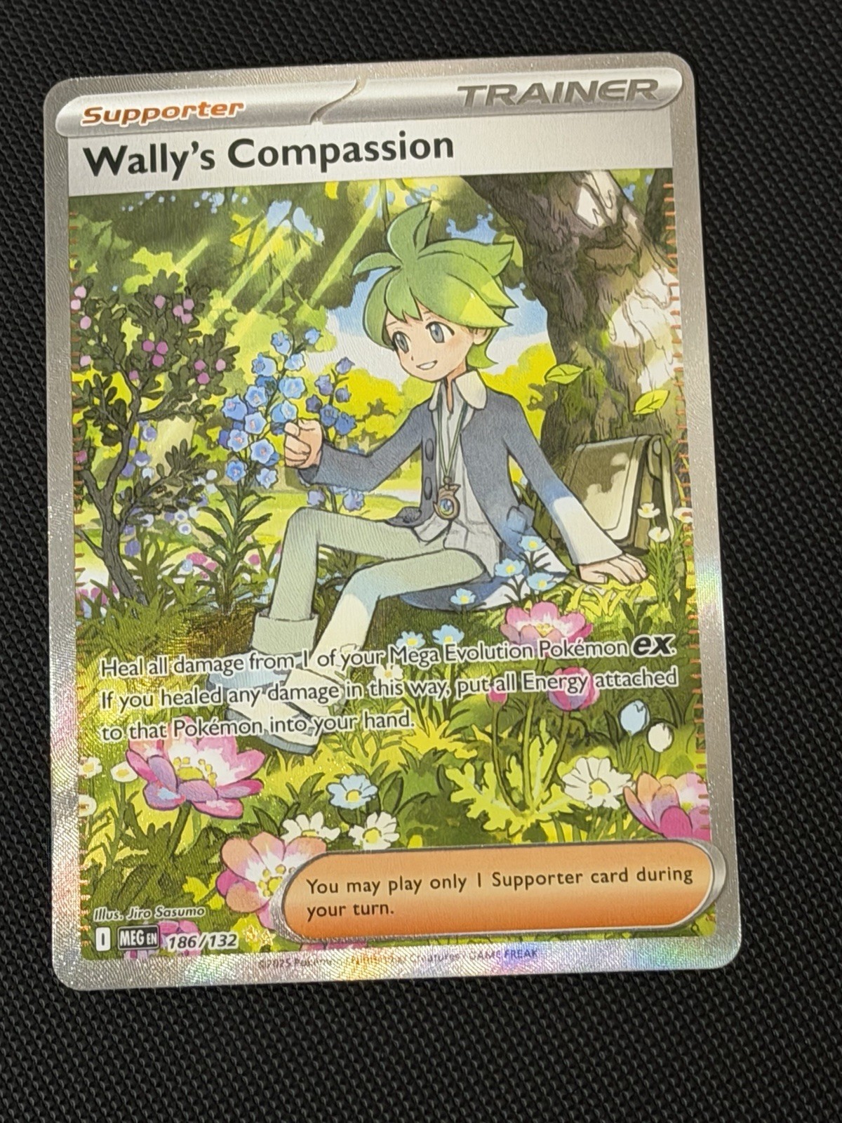 Wally’s Compassion 186/132 -Special Illustration Rare -Pokemon Mega Evolution-NM