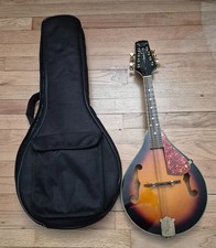 Old Hickory Mandolin with case working -needs new string