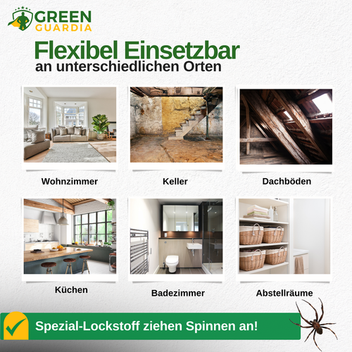 Spinnenfalle – 15x Fallen - Spinnen Klebefalle, Wirksam Spinnen bekämpfen - Bild 5 von 7