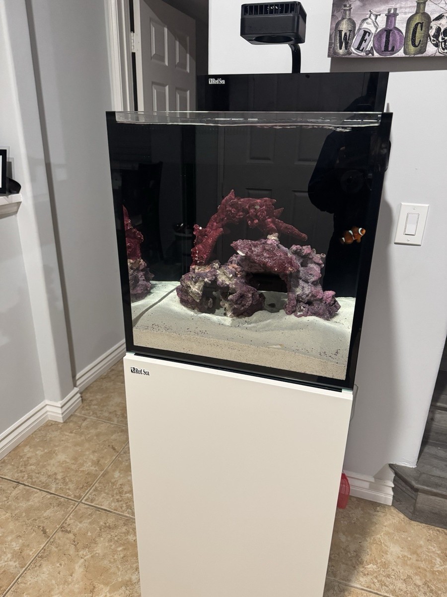 Red Sea Max Nano G2 XL 33 Gallon All-in-One Aquarium, Supplies