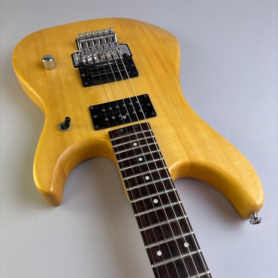 Washburn N2 w/soft case USED | eBay