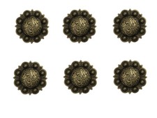 Set of 6 WESTERN SADDLE HORSE TACK ANTIQUE BRASS ENGRAVED BERRY CONCHOS